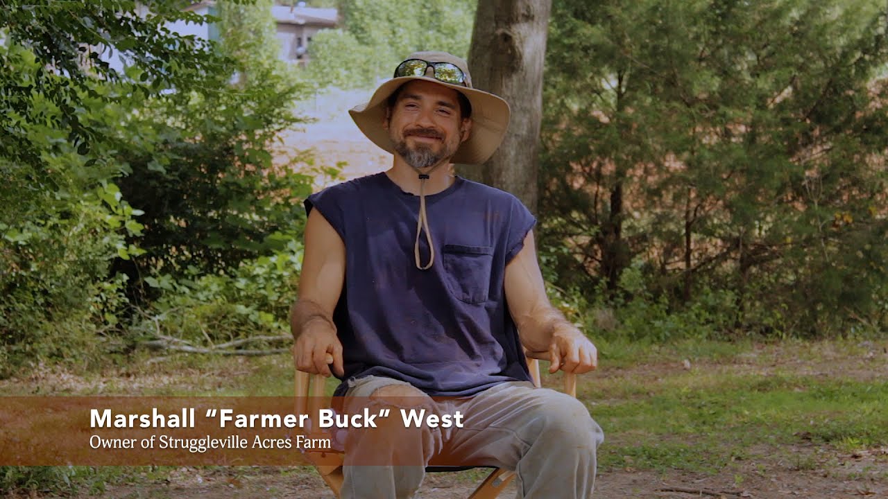 Struggleville Acres Farm | Produce picked same day and delivered fresh to the market