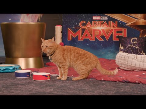 Marvel Studios’ Captain Marvel | Goose the Cat LIVE!