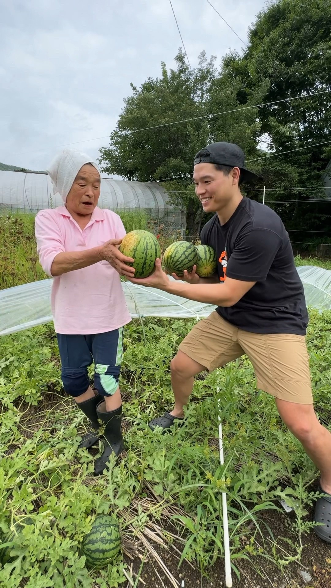 Fresh watermelon ?☀️