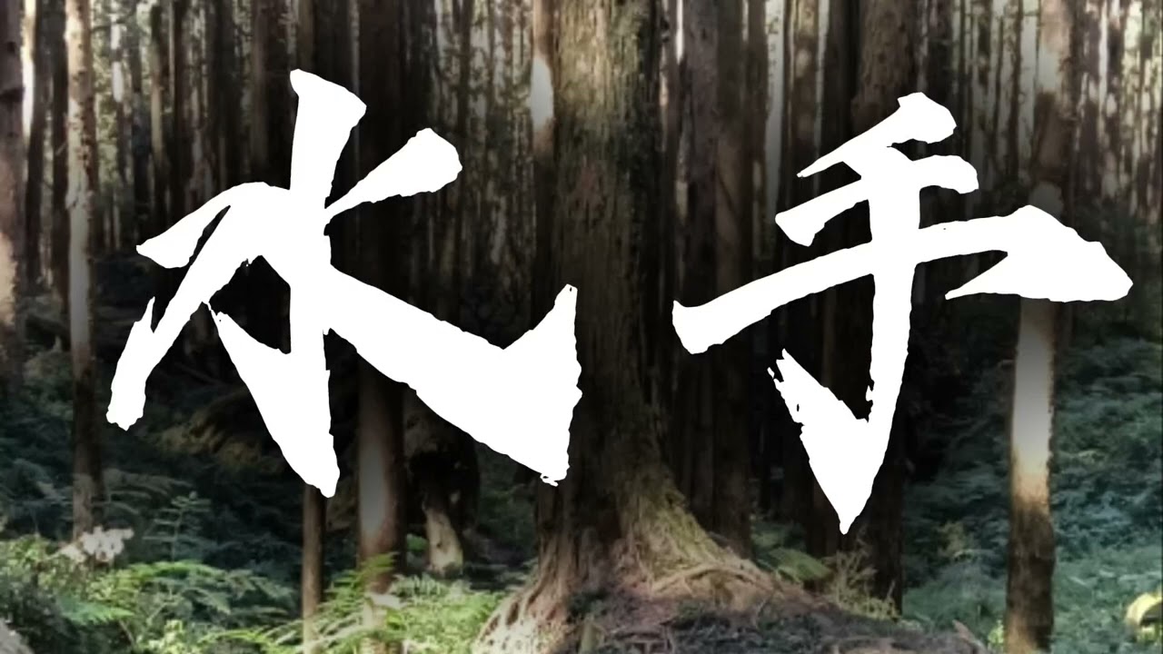 來探討這首歌，水手，聽說是大人那輩從小聽到大的歌🎶🎵