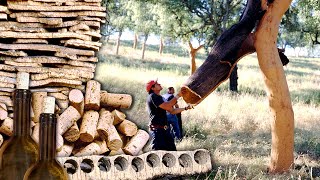 Cork and its transformation into stoppers. Manual extraction of the trunk of the cork oaks