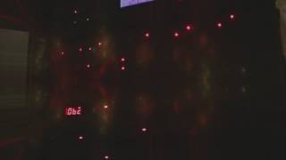 phrozenlight - Mettle