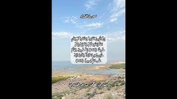 سورة النساء ١٦٨-١٦٩ #قرآن #قرآن_كريم #قران #قران_كريم #قرأن #quran