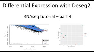 rnaseq tutorial – part 4 – differential expression analysis with deseq2