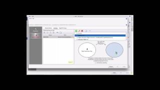 Dynamic Grading in MINT - Part 1 (en Español)