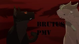 Part 23 -Breezepelt Brutus PMV MAP