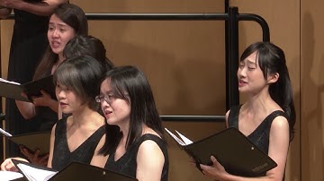 Stars I Shall Find | 台中藝術家合唱團 Taichung Artist Choir