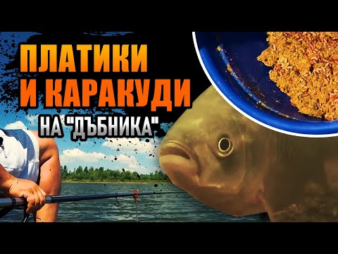 ПЛАТИКИ и КАРАКУДИ