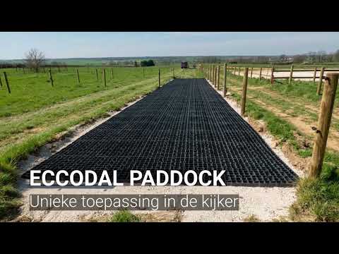Miniatuur van productvideo