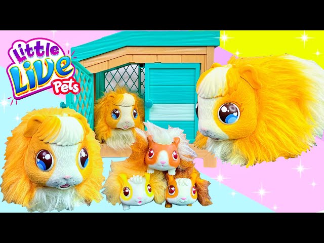 Littlest Pet Shop - Pet Surprise Singles