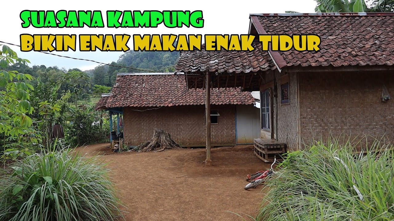 Suasana Kampung Ini Bikin  Enak Makan Enak Tidur. Hawanya Benar Benar Bersih Dan Hening