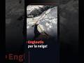 Espagne : Une skieuse et son chien emportés par une avalanche