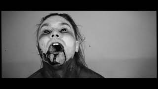 Living Machines - "The Aluna War" Official Music Video