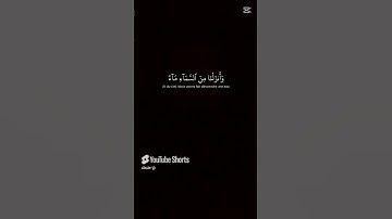 القرآن الكريم #المصحف #المصحف #اكسبلور #ايقنت #اكسبلورفولو #اكسبلورفولو #دويتو #دويتو #لايك #لايك