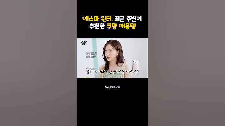 에스파 윈터, 최근 주변에 추천한 쿠팡 애용템