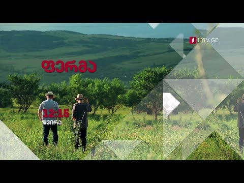 „ფერმა\" - 17 ივნისს, 12:15 საათზე