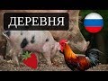 Living in Russia – Russian VILLAGE – Russian province