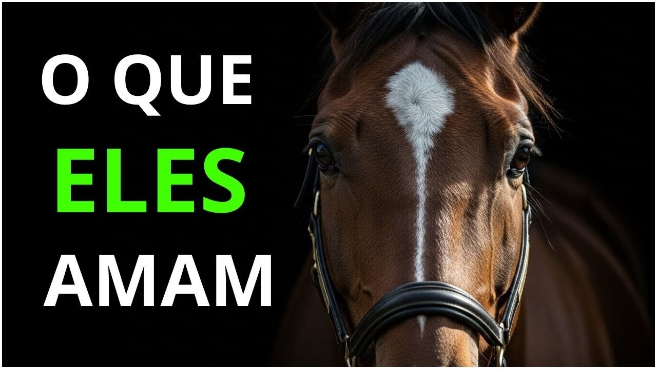 O QUE os CAVALOS AMAM de Verdade e COMO AJUSTAR Isso na Rotina Diária