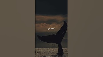 {قل لو كان البحر مدادًا لكلمات ربي لنفد البحر }سورة الكهف القارئ|علي جابر