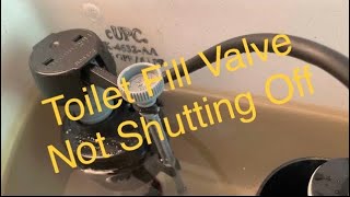 Toilet Fill Valve Not Shutting Off \/ Don’t Replace \/ Fix Fast Cheap \& Easy For Beginners