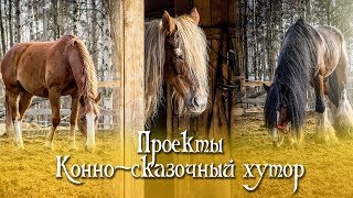 Проекты. Конно-сказочный хутор