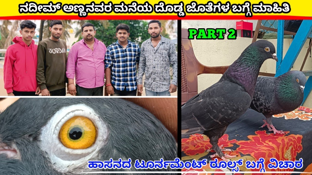 🔥⚡ನದೀಮ್ ಅಣ್ಣನವರ ಮನೆಯ ದೊಡ್ಡ ಜೊತೆಗಳ ಬಗ್ಗೆ ಮಾಹಿತಿ/@Hassanpigeon 💥🧭