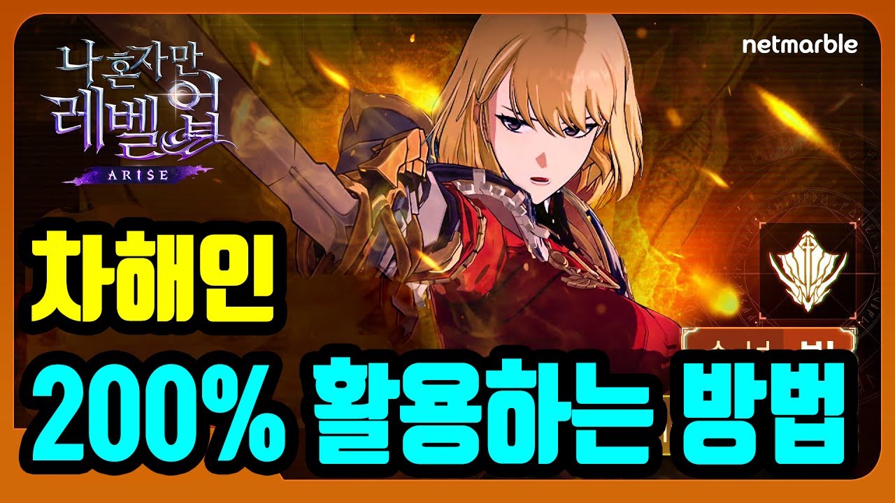 [나혼렙:어라이즈] 차해인 공략, 200% 활용하는 방법 - YouTube
