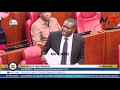 MIMI NDIO SIFUNA BREATHES FIRE IN SENATE LECTURING GOVERNORs LEDAMA BADLY 