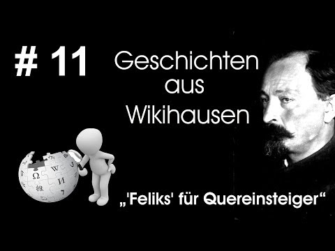 Wikipedia-Heckenschütze Feliks - Zusammenfassung für Quereinsteiger | #11 Wikihausen