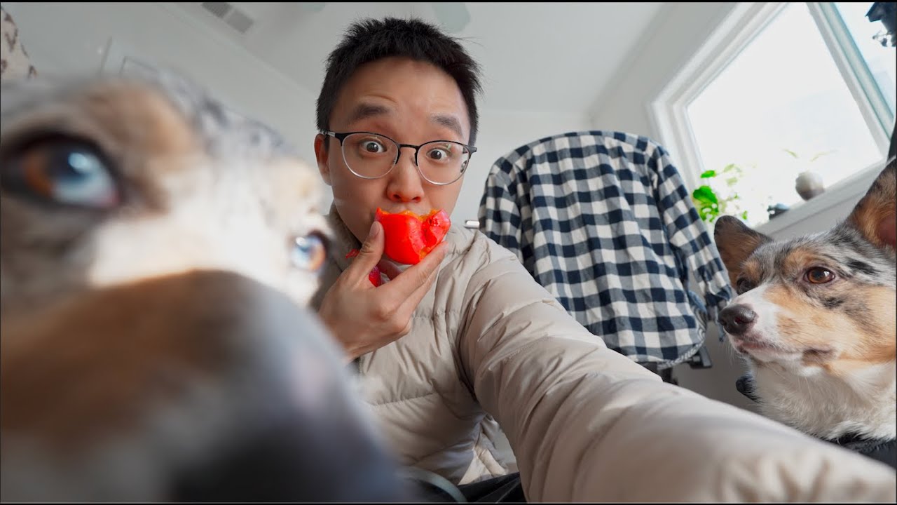 Day In My Life as a WFH software engineer | vlog 4 - YouTube