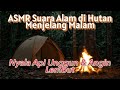 ASMR Suara Alam di Hutan Menjelang Malam | Nyala Api Unggun &amp; Angin Lembut