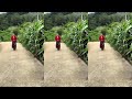 My Rural Life #funny #positiveenergy