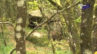 Visita ó dolmen de Vilatán recentemente catalogado 29 04 2014