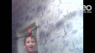 клип шеди леди клип шеди леди