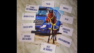 Corinne Farrugia founder of RMJ Horse Rescue saves the lives of neglected horses