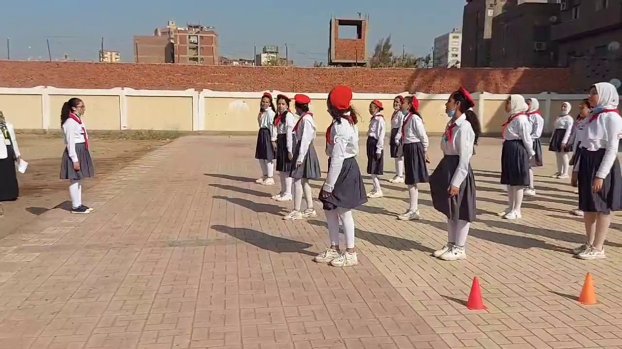 زهرات الكشافة