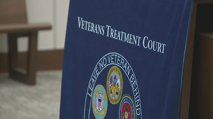 Victim of domestic violence concerned with veterans treatment court