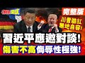 習近平與德法對談