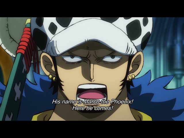 One Piece Preview Teases Marco S Wano Arrival One Piece Preview Teases Marco S Wano Arrival