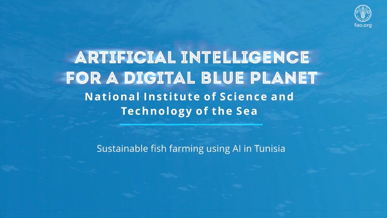 Still from FAO AI4DBP Sustainable fish farming using AI in Tunisia