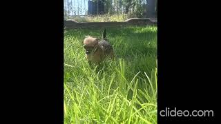 Black As Night, It Calls Gothic Industrial Instrumental Its Worm Time