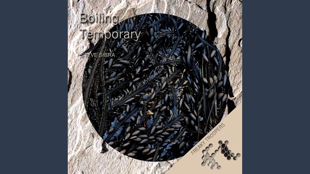 Watch Temporary on YouTube Watch Temporary on YouTube