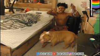 Ishowspeed Barking At His Dog