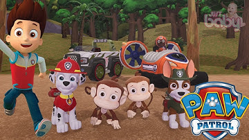 PAW Patrol On a Roll Episode - Save the Stinky Monkeys Full Gameplay Walkthrough Tutorial Justbaby