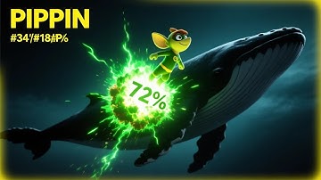 PIPPIN Rockets 72% — What Did This Whale Know? 1 DEC 2025 #18