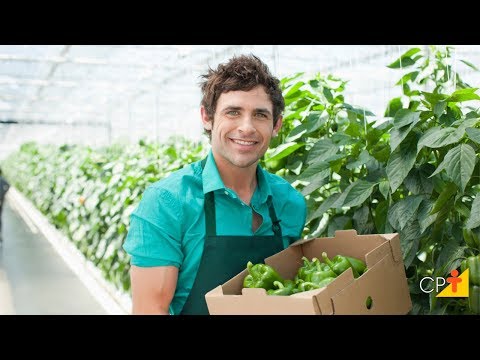 Clique e veja o vídeo Curso a Distância Cultivo de Pimentão em Estufa