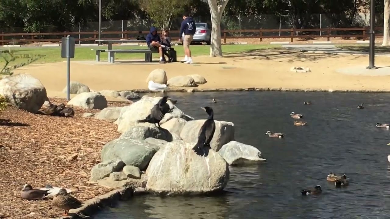 Conejo Creek Park North