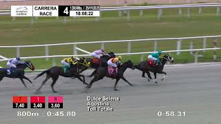 Vidéo de la course PMU PRIX ARLEQUIN ARUBA (2015)