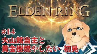 【エルデンリング #14】そろそろ佳境へと行きましょうか【ケモノVtuber/星戌セン/ #Vtuber #ELDENRING #エルデンリング】