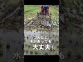 ディスクロータリー YDPシリーズ 作業動画 #shorts #トラクター作業機 #ヤンマートラクター